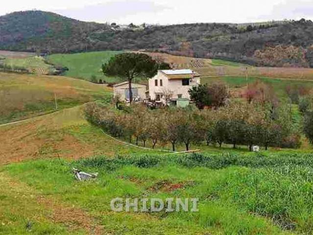Locale Commerciale in vendita a Scansano, Toscana