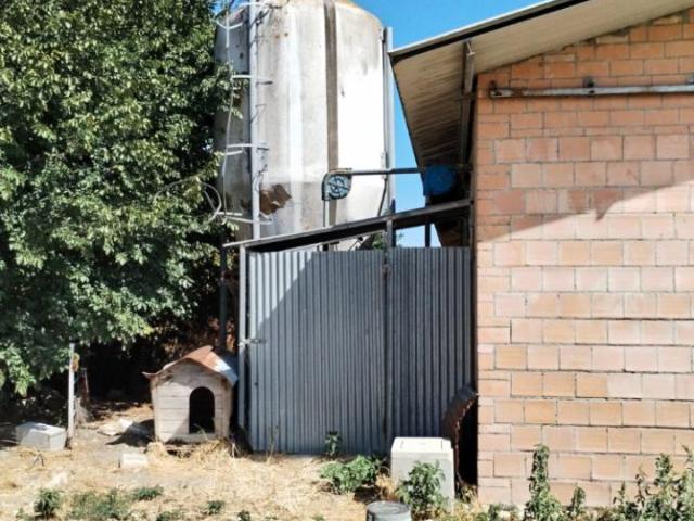 Rustico in affitto a Bettona, Perugia