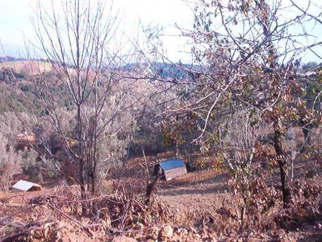 Terreno in vendita a Calabria, Catanzaro