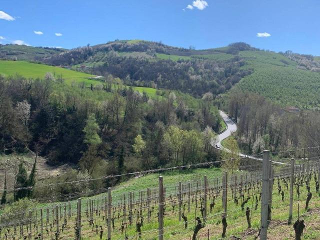 Rustico in vendita a San Rocco Cherasca, Alba