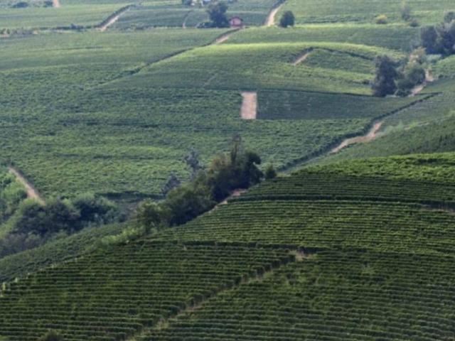 Rustico in vendita a Piemonte, Cuneo