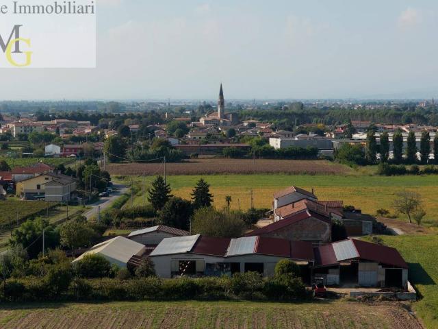 Terreno in vendita a Albaredo D'adige, Veneto
