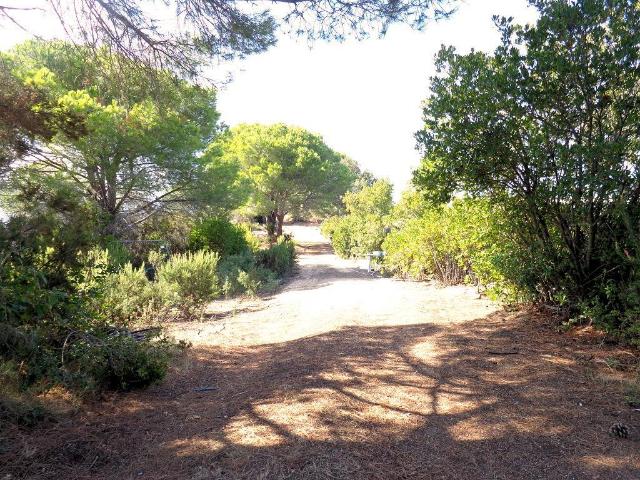 Rustico in vendita a Campo nell'Elba, Literno