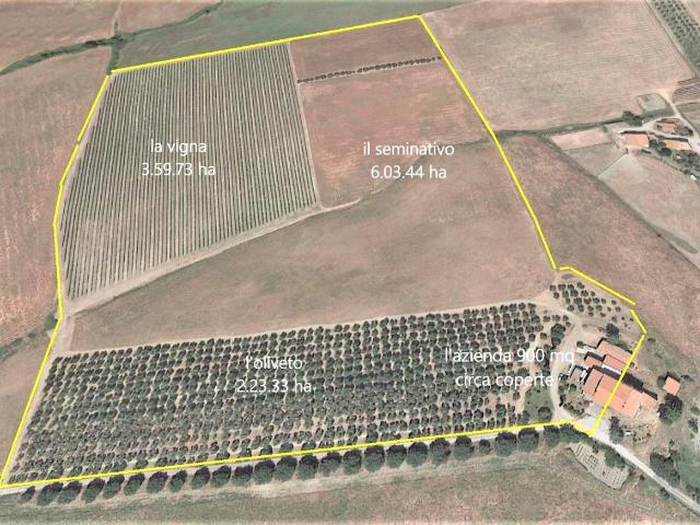 Rustico in vendita a Unione dei Comuni Montani Amiata Grossetana, Castel Del Piano