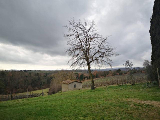 Rustico in vendita a Castelnuovo Berardenga, Toscana