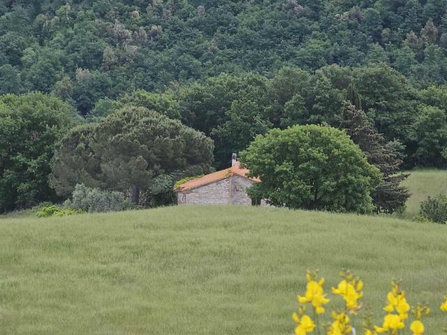 Rustico in vendita a Castelnuovo Val Di Cecina, Toscana