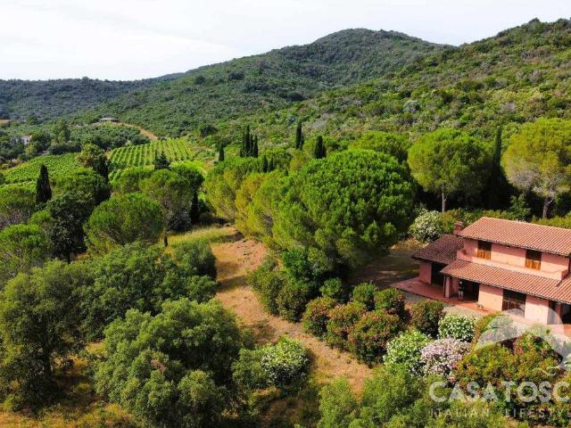 Rustico in vendita a Marina, Castiglione Della Pescaia