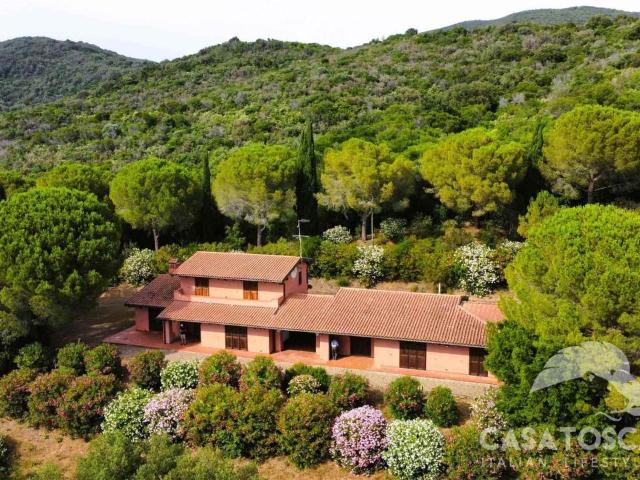 Rustico in vendita a Marina, Castiglione Della Pescaia