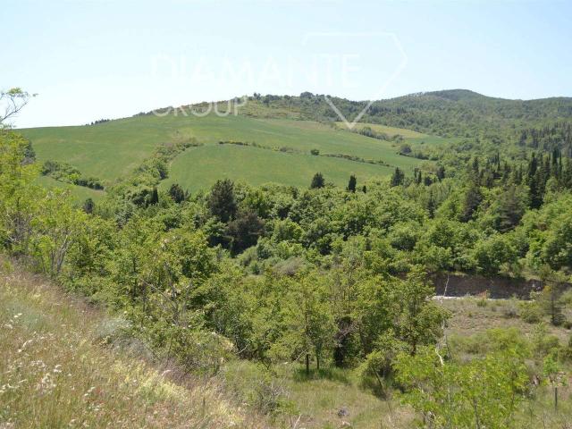 Rustico in vendita a Castiglione D'orcia, Toscana