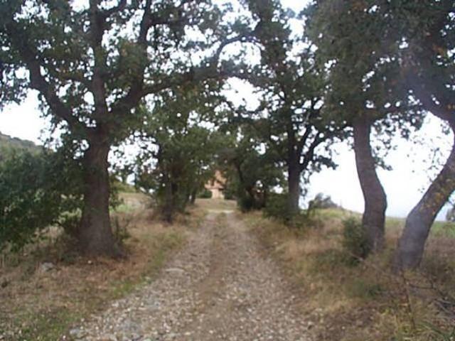 Rustico in vendita a Rivalto, Chianni