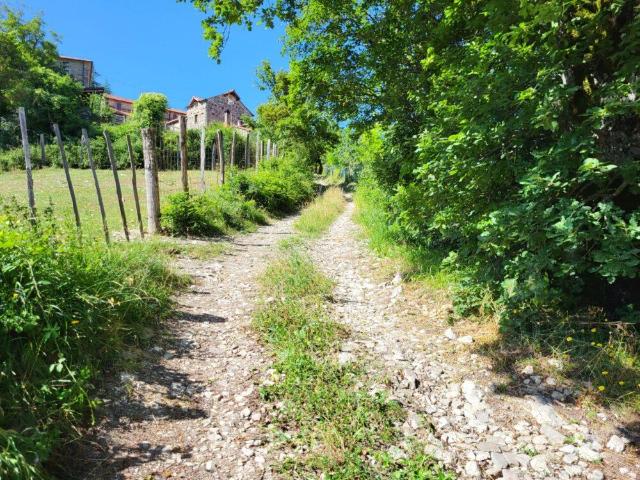 Rustico in vendita a Chiusi Della Verna, Toscana