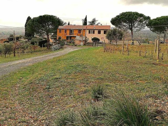 Rustico in vendita a Campagnatico, Grosseto