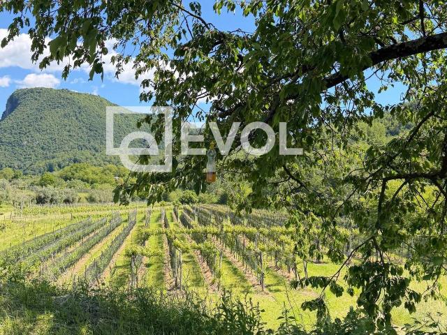Rustico in vendita a Rubignacco, Cividale Del Friuli
