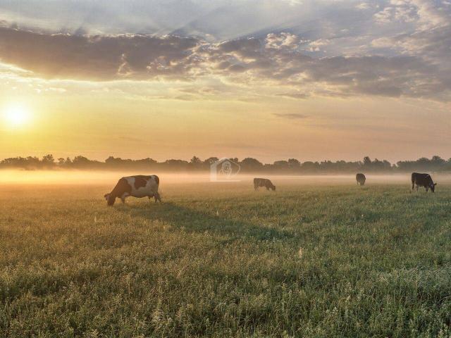 Rustico in vendita a Fiorenzuola d'Arda, Piacenza