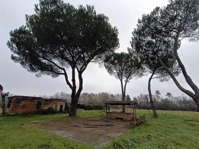 Locale Commerciale in vendita a Castelfranco Di Sotto, Toscana