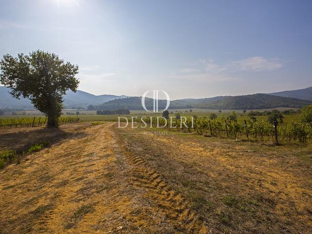 Rustico in vendita a Filare, Bivio Di Ravi