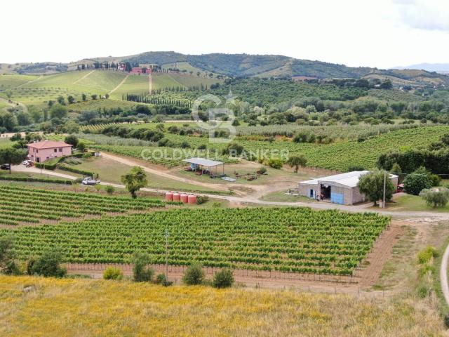 Rustico in vendita a Grosseto