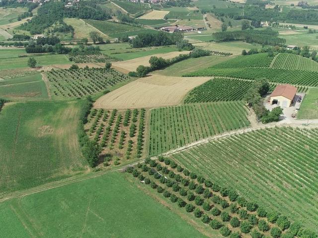 Rustico in vendita a Piemonte, Asti