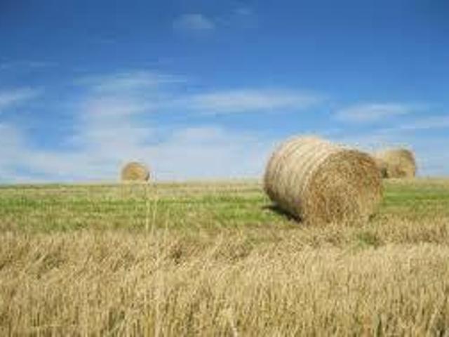 Rustico in vendita a Lendinara, Veneto