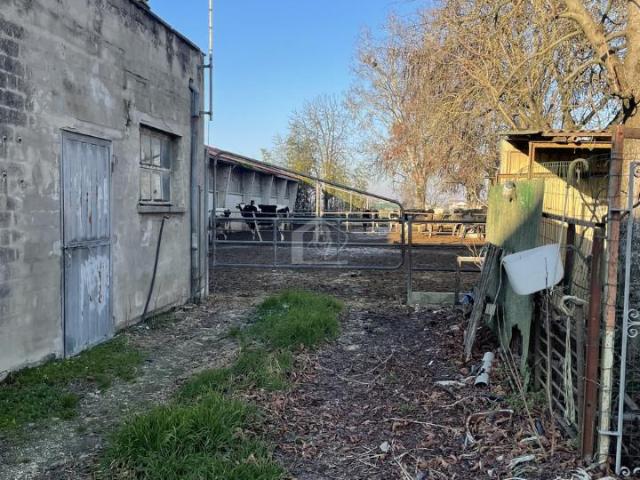 Rustico in vendita a Bassa Reggiana, Re