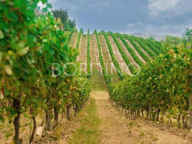 Rustico in vendita a Piemonte, Cuneo