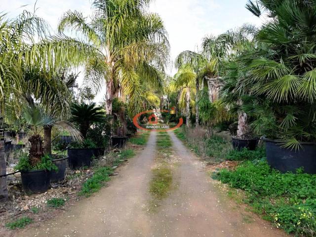 Rustico in vendita a Birgi Vecchi, Marsala
