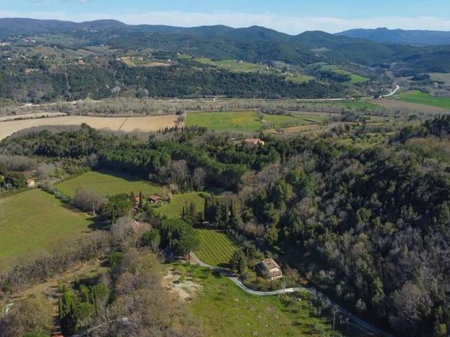 Rustico in vendita a Montescudaio, Toscana