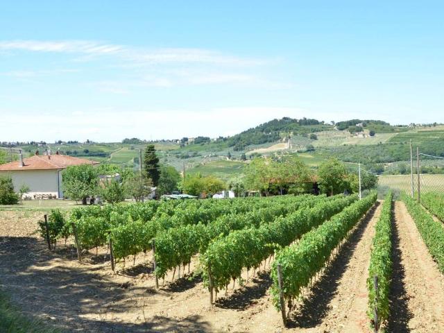 Rustico in vendita a Polvereto, Montespertoli