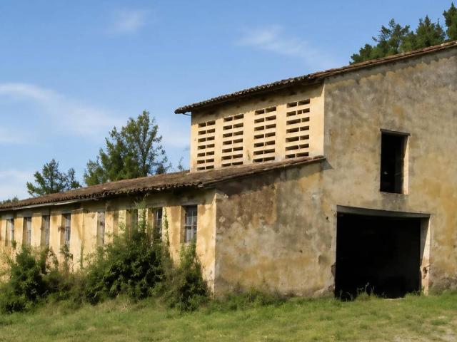 Rustico in vendita a Montopoli val D'arno, Montopoli in Val d'Arno