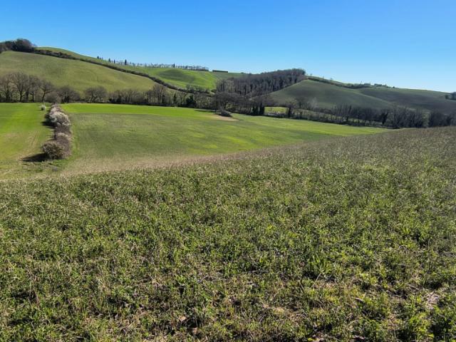 Rustico in vendita a Vescovado, Murlo