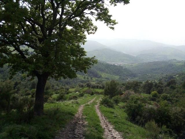 Rustico in vendita a Calabria, Cosenza