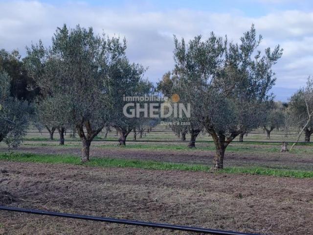 Rustico in vendita a San Paolo, Oristano
