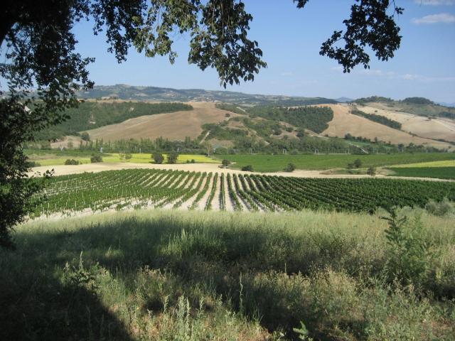 Rustico in vendita a Orvieto, Umbria