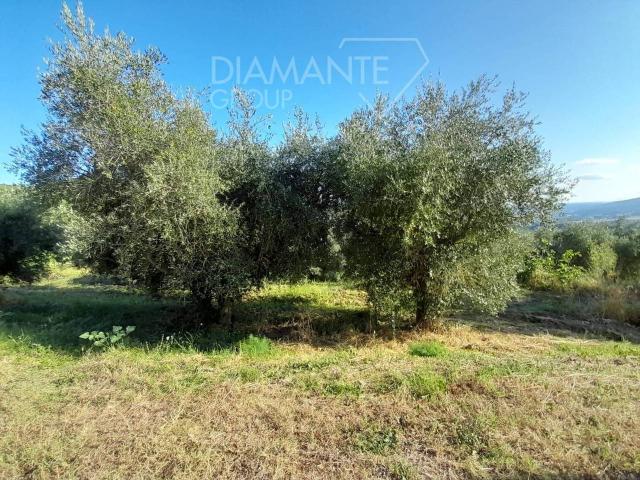 Rustico in vendita a Panicale, Umbria