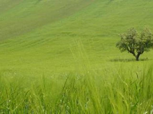 Locale Commerciale in vendita a Marche, Fermo