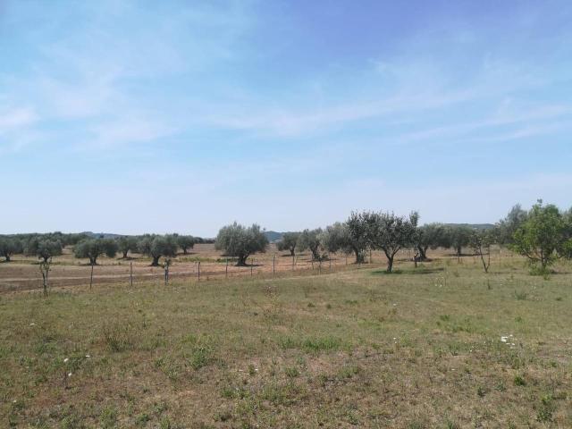 Rustico in vendita a Unione di Comuni Montani Colline del Fiora, Pitigliano