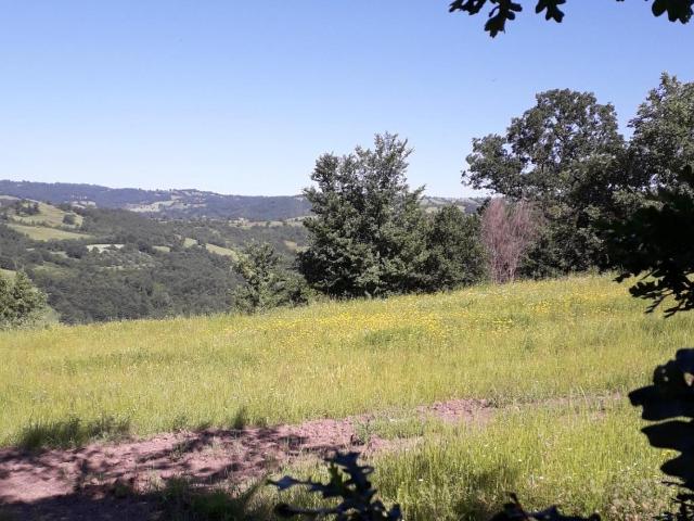 Rustico in vendita a Unione dei Comuni Montani Amiata Grossetana, Roccalbegna