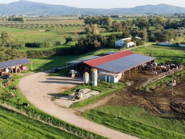 Rustico in vendita a Roccastrada, Toscana