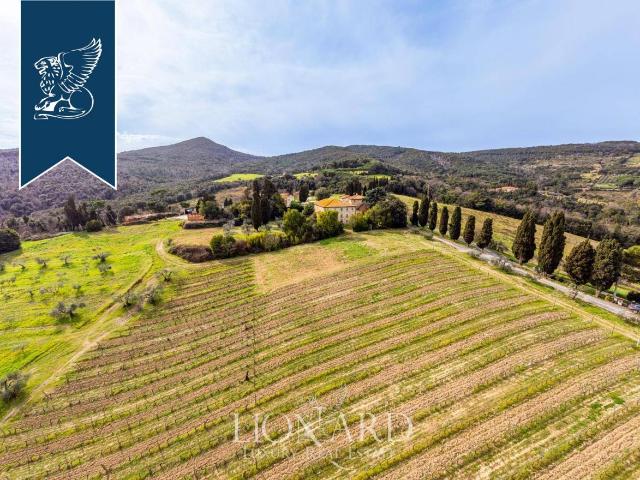 Rustico in vendita a Cafaggio, Rosignano Marittimo