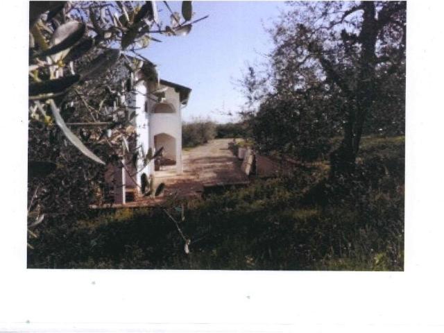 Rustico in vendita a San Miniato, Toscana