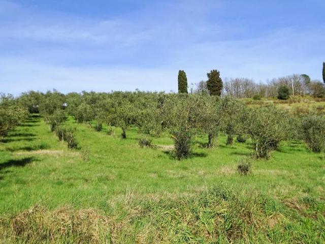Locale Commerciale in vendita a San Miniato, Toscana