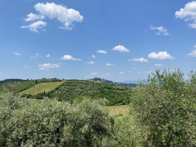Rustico in vendita a La Scala, San Miniato