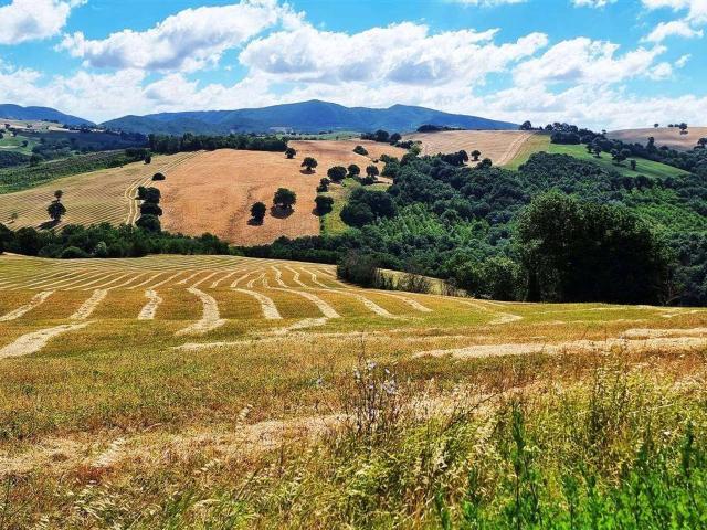 Rustico in vendita a Mazzini, San Severino Marche