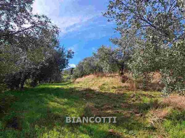 Rustico in vendita a Scansano, Grosseto