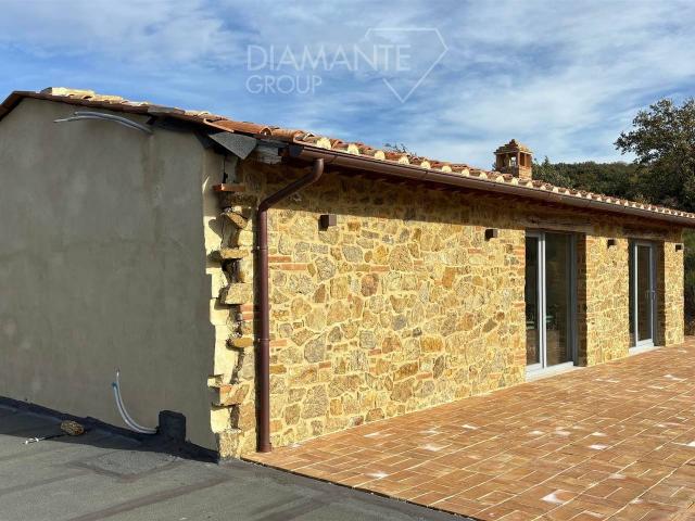 Rustico in vendita a Unione dei Comuni Montani Amiata Grossetana, Seggiano
