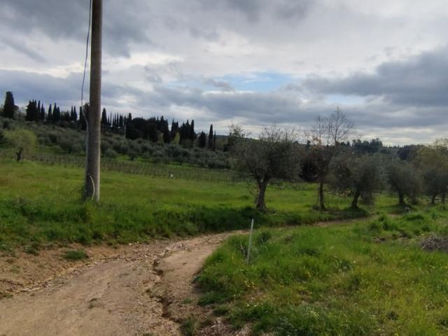 Rustico in vendita a Sinalunga, Siena