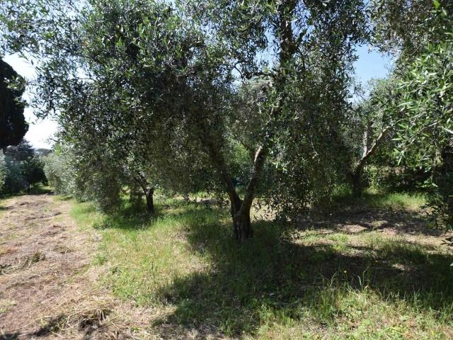 Rustico in vendita a Suvereto, Toscana