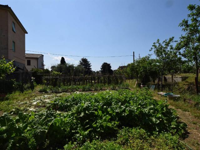 Rustico in vendita a Suvereto, Toscana