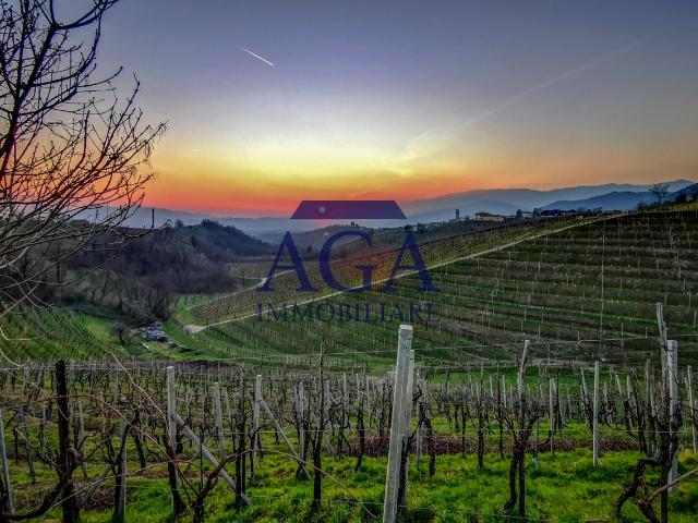 Rustico in vendita a Valdobbiadene, Veneto