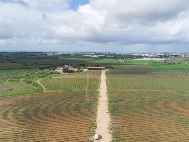 Rustico in vendita a Vittoria, Sicilia